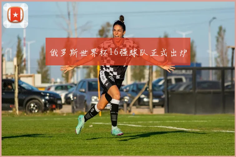 俄罗斯世界杯16强球队正式出炉